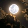 yasser_3070
