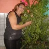 rosamariadealbuqu3
