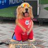 linafoster14