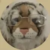 ahrrexd3