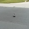 notmarkyish