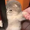 kiem_trai_hc_gioi