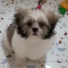 mokiemolly
