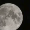 barbaramarschall0