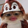 antoo831212