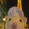 ny_gune