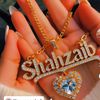 shazaib.3838