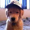 kitty_boi1704