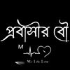 user8291061229484
