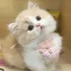 ltnhuy7