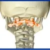 atlastherapieatla