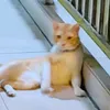 mmmmmmond