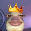 radityajack