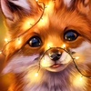 foxoth0