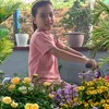 Kim Anh