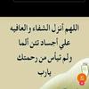 amal.amal298