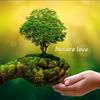 naturelover3219