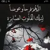 user4965751195702