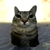fanndgaming671