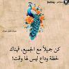 omsaeb55