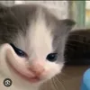 hoanganhhh120