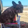 florygordo