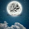 ami_ar75