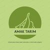amak_tarim1