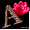 alihaha379
