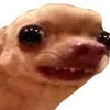 nosekeponetr