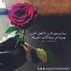 user6317763840527
