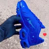 regin4135