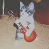 gato_felix12