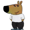 nshdyeh