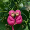 Giống Hoa Độc Lạ