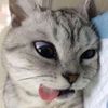 kyy-