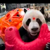 dieuw_ahn
