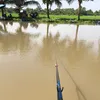 _cuong_khong_beo_