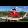 pipek1995
