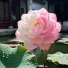 thanhtruc1204llllll