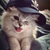 jstn_jstn16