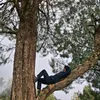 gede_widi2
