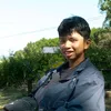 nguynxunthch