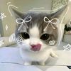 nitadewilany