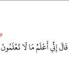 zadjaly00