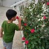fayl.mrym