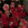 salma.jaradat14