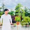 alijawid08