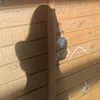 olvx.ax