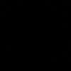 risaandrni_